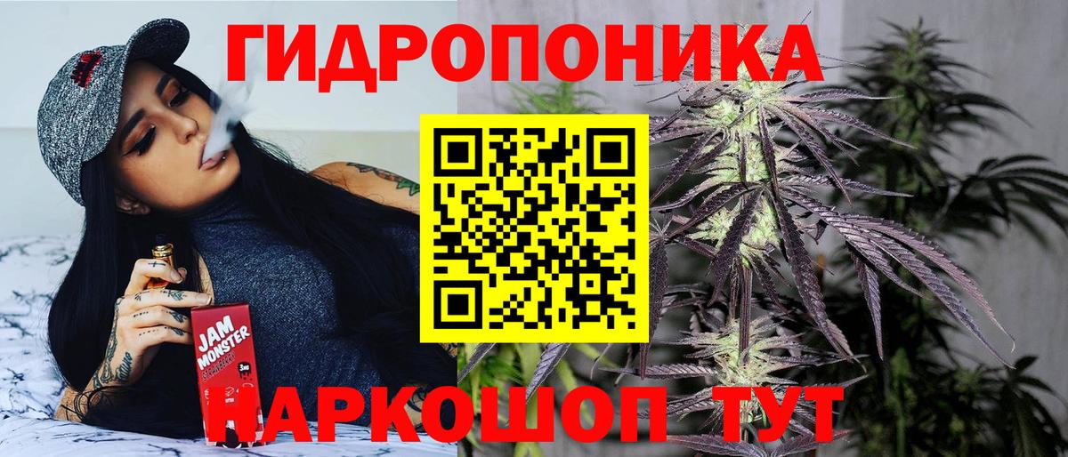 Бошки марихуана Amnesia Асино